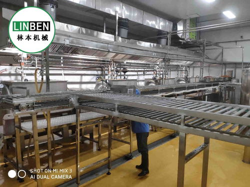 央廚設(shè)備 學(xué)生餐整套生產(chǎn)線(xiàn)